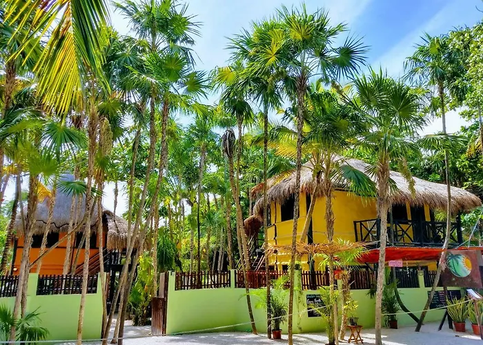 Las Palmas Maya